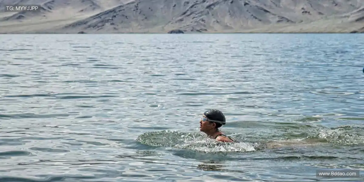 🌟全球赛事盛宴，见证下一个传奇诞生！🏆